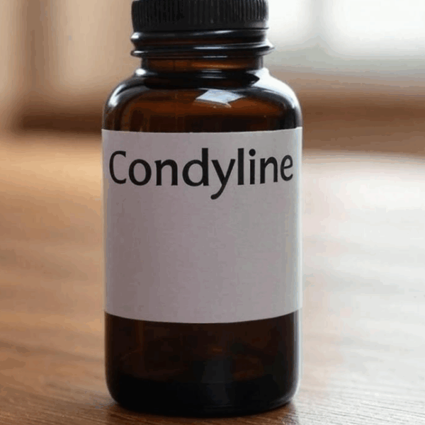 condyline Condyline